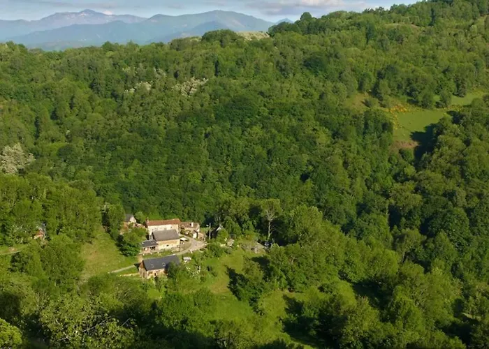 Gite Les Papillons照片