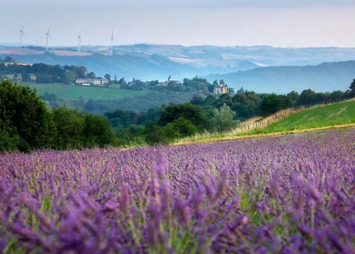 Gite Au Ferme De Lavande foto