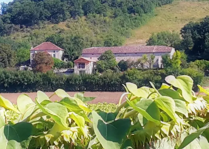 Le Gite Bellevue A Montjoi 82400 Tarn & Garonne תמונה