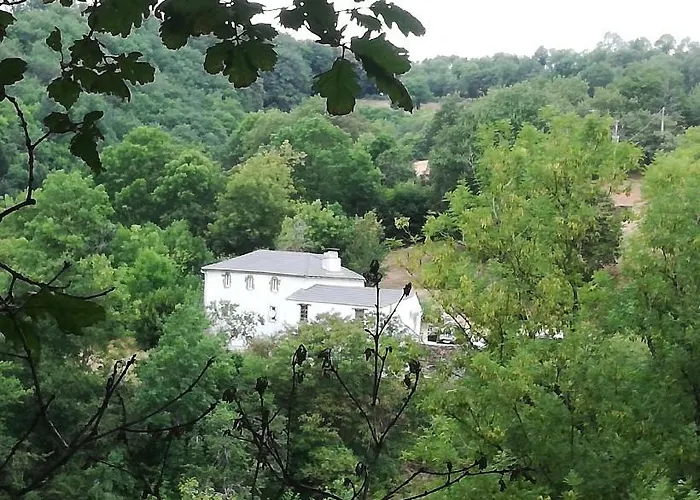 Gite De La Combe Basse Le Masnau-Massuguiès Foto
