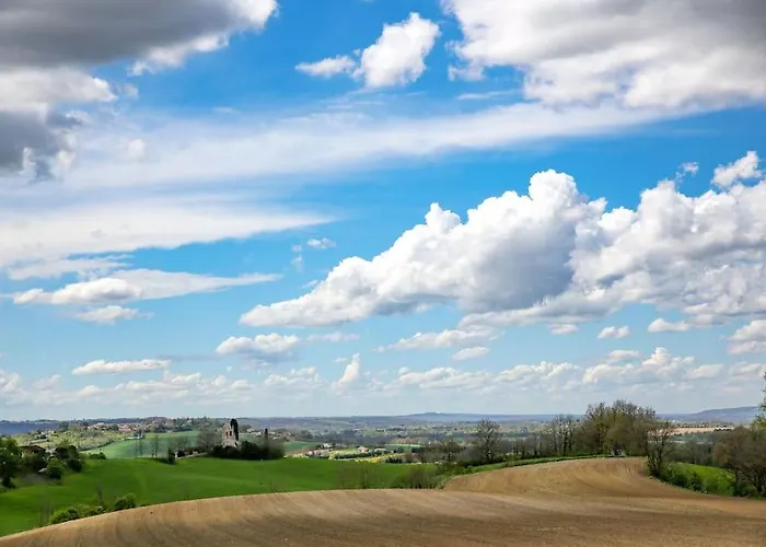 Фото Gite Belsoulel Au Coeur Du Tarn Ambres