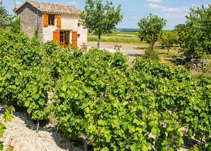 La Cabane Du Vigneron Donnazac foto