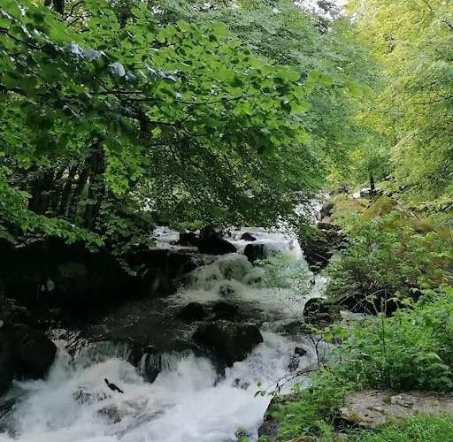 Tignac La Tignoiseヴィラの写真