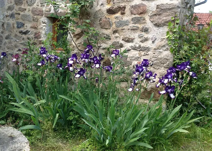 Ancienne Ferme Dansl'Aveyron Villa Maleville photo