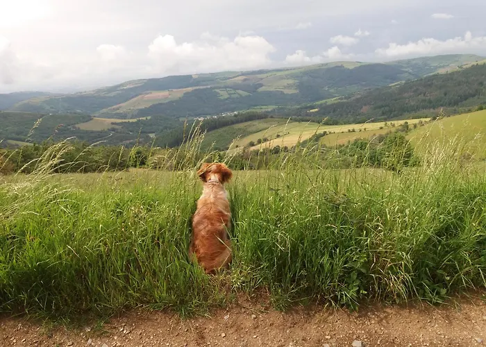 foto di Gîte Saint Michel 2 étoiles Moulin-Mage