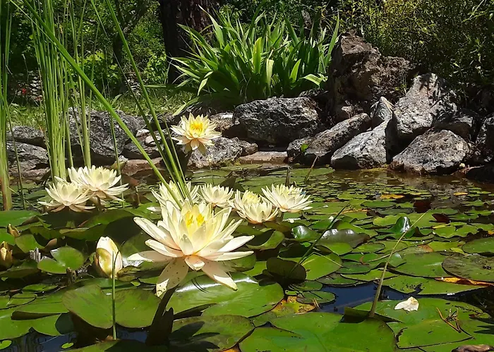 Bastida De Beata Bed & Breakfast Noailles  photo