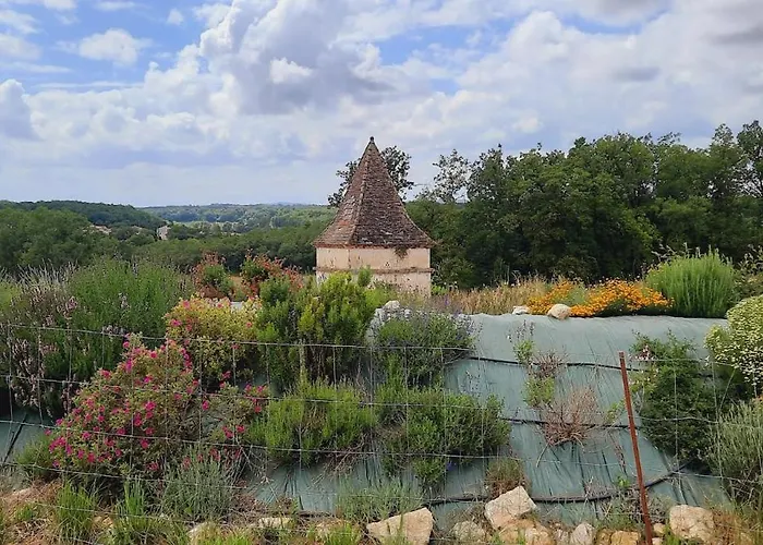 Gite Spacieux Les Lyllacs Cestayrols Foto