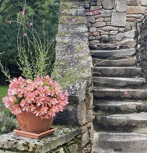 Domaine Les Pierres Villa Lacapelle-Segalar photo