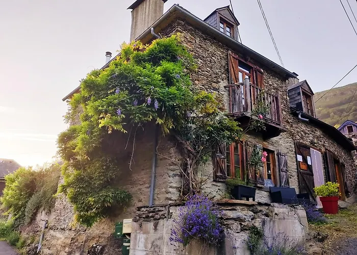 Chambre D'Hotes - Eco Gite La Grange Fos  photo