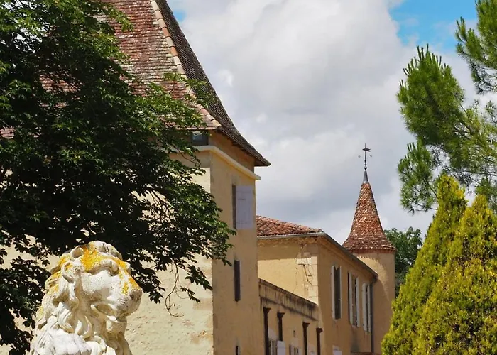 Domaine Du Chateau Larroque Sainte-Christie Foto