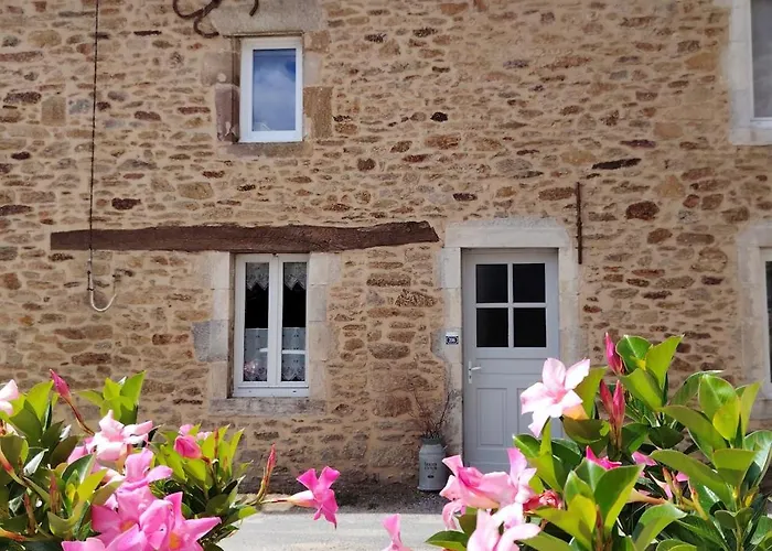 La Maison Des Rosiers Manhac photo