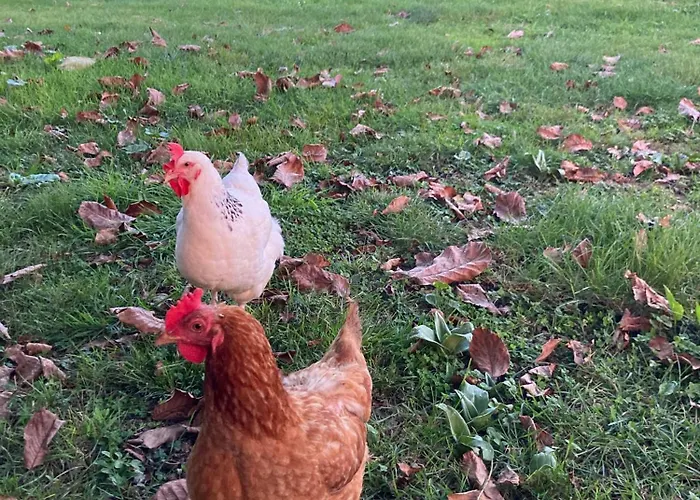 LarrazetLe Pigeonnier De Migou别墅照片