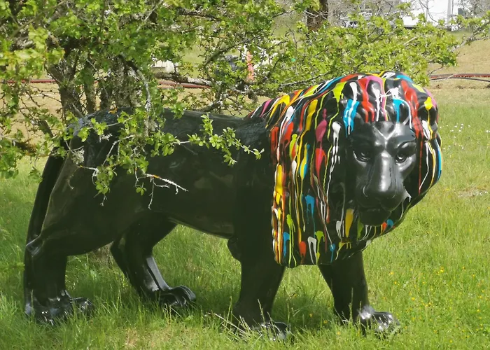 Vila Coeur de bull' Cahuzac-sur-Vère fotorgafie