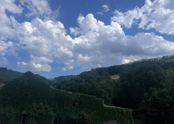 foto di Belvédère 1877 Sylvanes