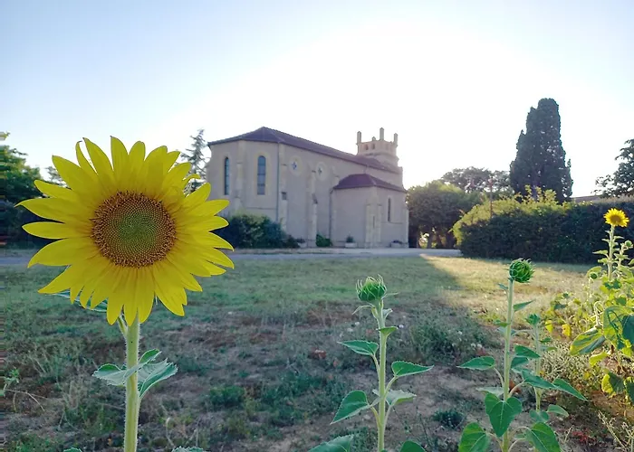 Maison Du Porche 4 Etoiles, Piscine, 10 Voyageurs Maignaut fotoğrafı