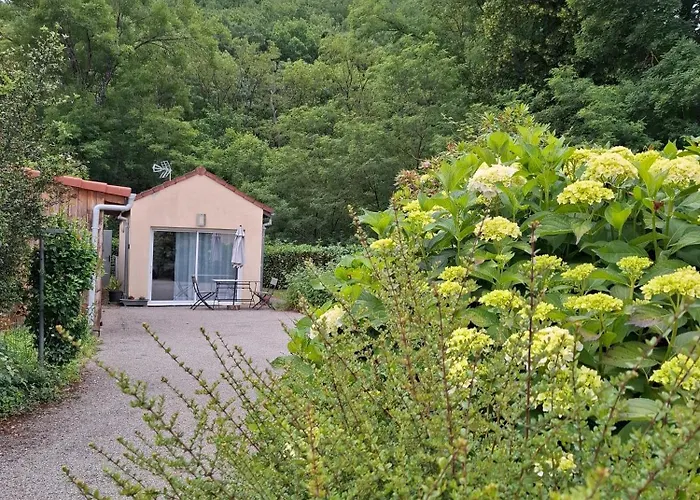 Ferienwohnung Jardin Fleuri - Proche Foix Saint-Paul-de-Jarrat Foto