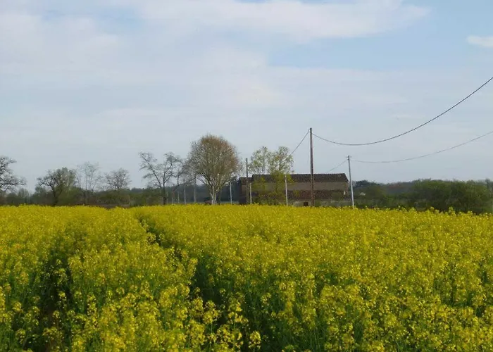 Willa La Ginestiere Villematier zdjęcie