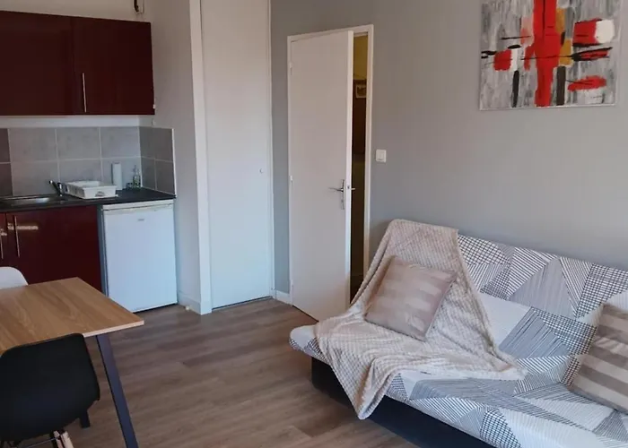 fotos do Appartement Cosy Wifi Et Piscine Au Porte De Rodez Onet-le-Château