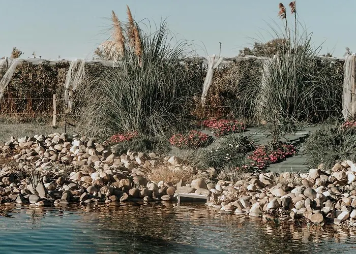 L'Oree Du Bois Aux Portes De Montauban Albiasの写真