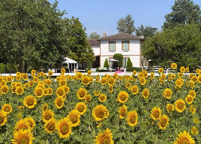 Residence La Salamandre Kamers Rabastens foto