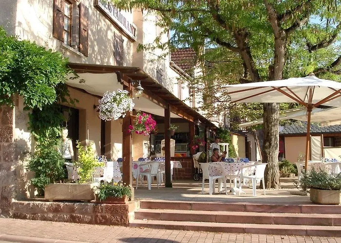 Auberge Aux Portes De Conques Saint-Cyprien-sur-Dourdou photo