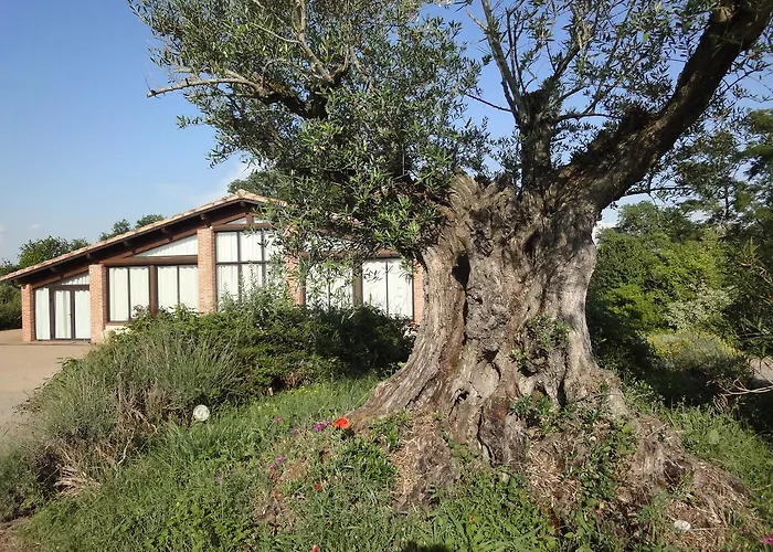 foto di Chalet Domaine De Combe Ramond Hotel Veilhes