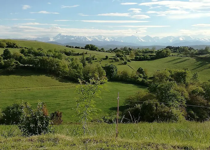 La Ferme Du Talus Bed & Breakfast Castex  photo