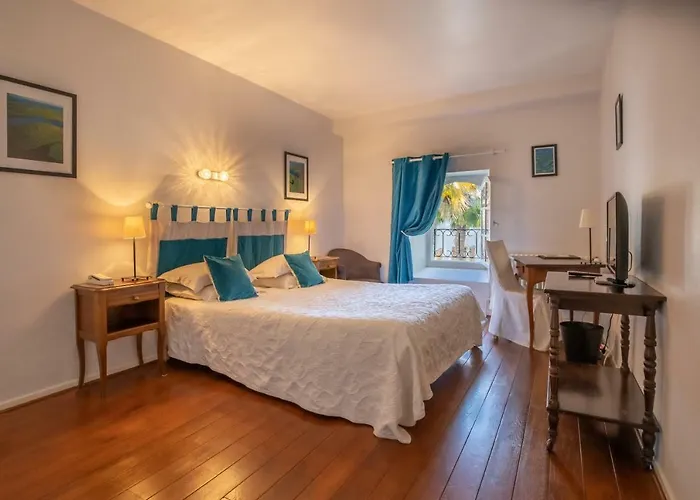 Hostellerie Des Cedres Villeneuve-de-Riviere photo