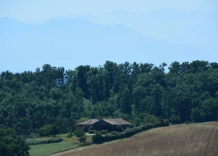 Musameou Villa Castelgaillard fotoğrafı
